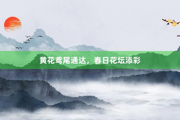 黄花鸢尾通达，春日花坛添彩
