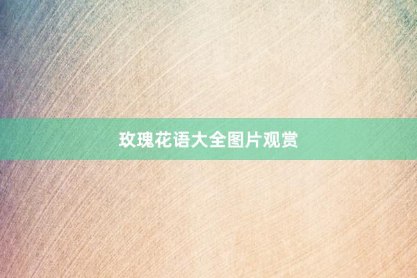 玫瑰花语大全图片观赏