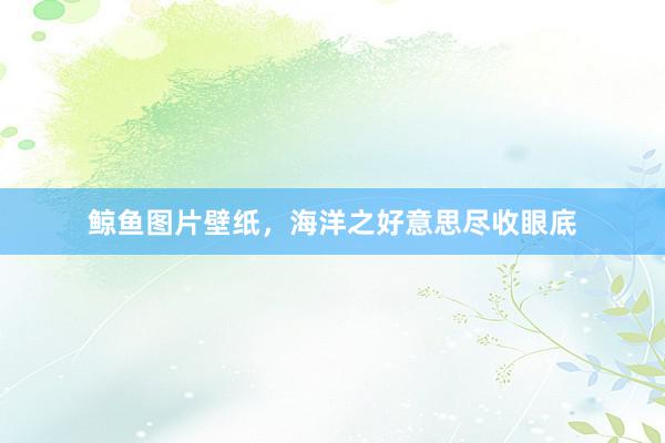 鲸鱼图片壁纸，海洋之好意思尽收眼底